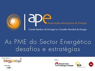 APE_AIP_MARCO2013_imagem_WEB